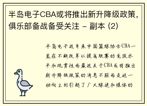 半岛电子CBA或将推出新升降级政策，俱乐部备战备受关注 - 副本 (2)