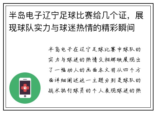 半岛电子辽宁足球比赛给几个证，展现球队实力与球迷热情的精彩瞬间