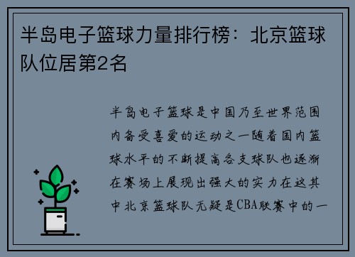 半岛电子篮球力量排行榜：北京篮球队位居第2名