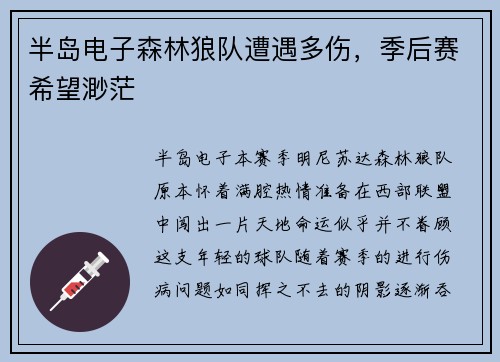 半岛电子森林狼队遭遇多伤，季后赛希望渺茫