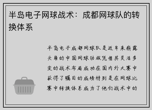半岛电子网球战术：成都网球队的转换体系