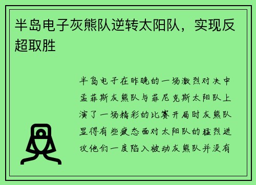 半岛电子灰熊队逆转太阳队，实现反超取胜